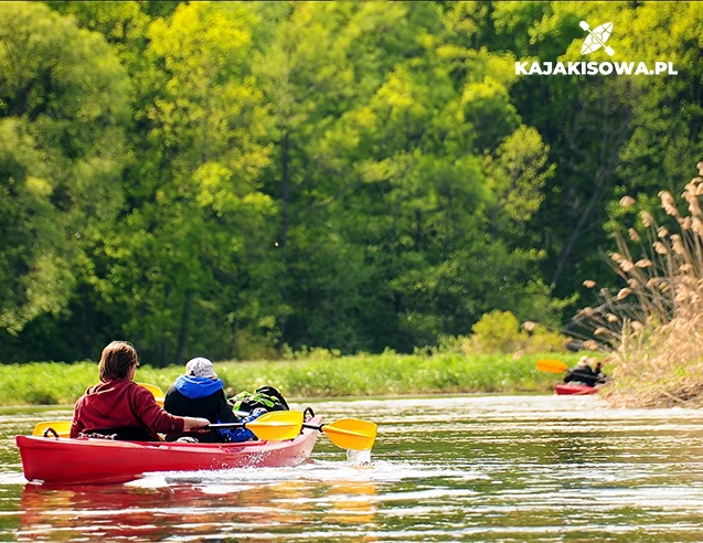 Kajaki Milicz - Kajaki Sowa